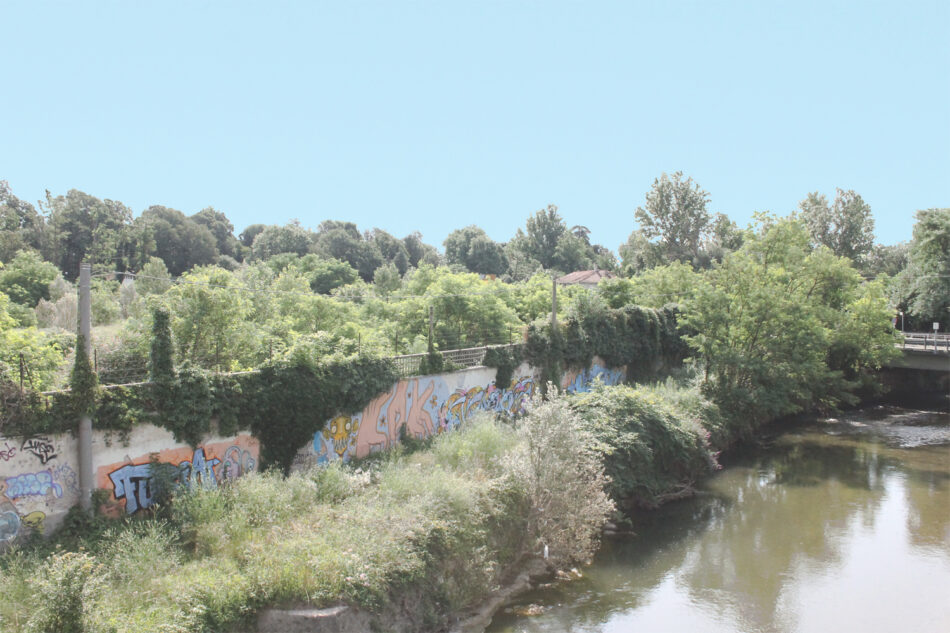 Sulla sponda del Lambro, appena oltre il muro, la vegetazione che oggi copre l'ex area industriale